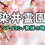 染井霊園