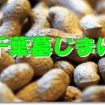 千葉墓じまい