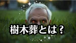 樹木葬とは？費用・種類・後悔しない選び方を石のプロが徹底解説