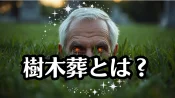 樹木葬とは？費用・種類・後悔しない選び方を石のプロが徹底解説